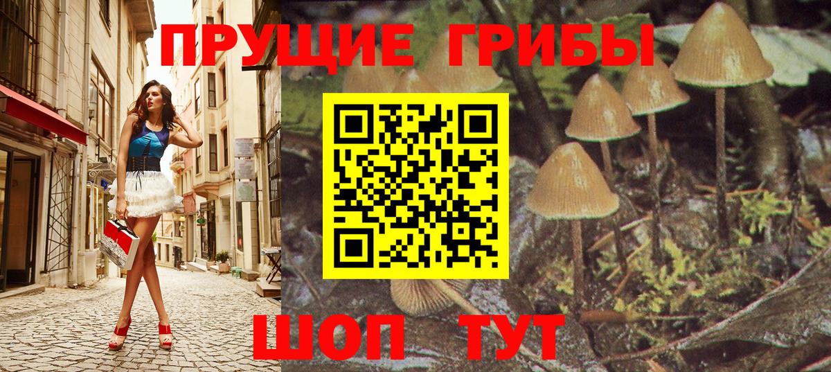 купить наркоту  Псилоцибиновые грибы Magic Shrooms  Галлюциногенные грибы Cubensis  Вход с VPN  Красный Сулин 