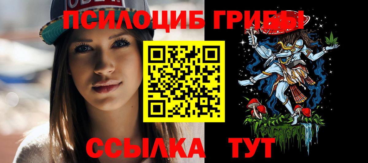 Псилоцибиновые грибы Psilocybine cubensis Красный Сулин